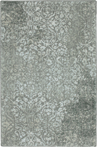 Karastan Euphoria Ayr Willow Grey Area Rug Main Image