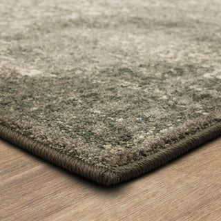 Karastan Euphoria Ayr Willow Grey Area Rug Main Image