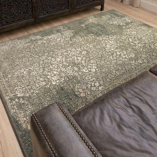 Karastan Euphoria Ayr Willow Grey Area Rug Main Image