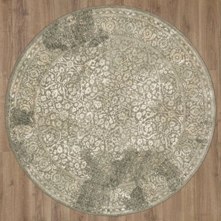 Karastan Euphoria Ayr Willow Grey Area Rug Main Image