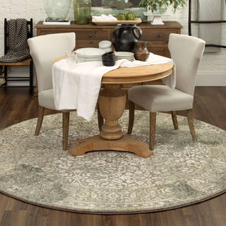 Karastan Euphoria Ayr Willow Grey Area Rug Lifestyle Image