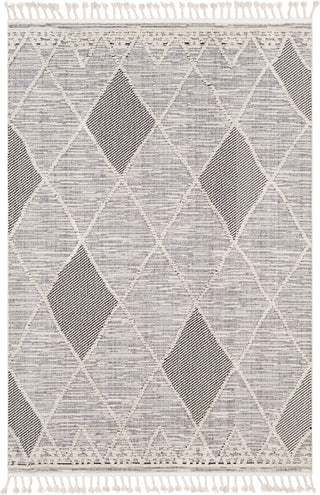 Surya Azilal AZI-2304 Area Rug main image