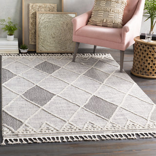 Livabliss Azilal AZI-2304 Area Rug