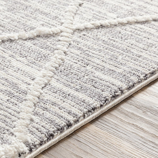 Livabliss Azilal AZI-2304 Area Rug