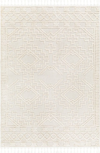 Surya Azilal AZI-2312 Area Rug Main Image 5'3"x7'