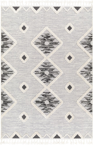 Surya Azilal AZI-2313 Area Rug Main Image 5'3"x7'