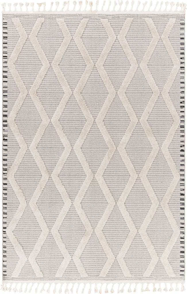 Surya Azilal AZI-2317 Area Rug Main Image 5'3"x7'