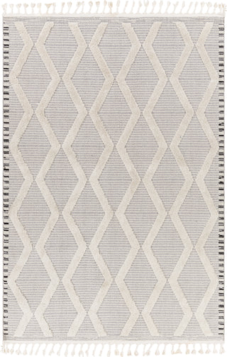 Surya Azilal AZI-2317 Area Rug Main Image 5'3"x7'