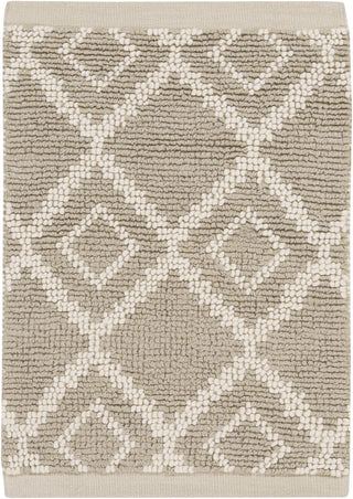 Surya Aztec AZT-3012 Light Gray Area Rug 2' x 3'