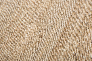 Rizzy Baja BA853A Natural Area Rug 