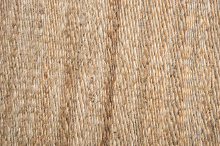 Rizzy Baja BA853A Natural Area Rug 