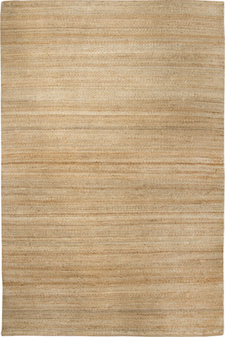 Rizzy Baja BA853A Natural Area Rug main image