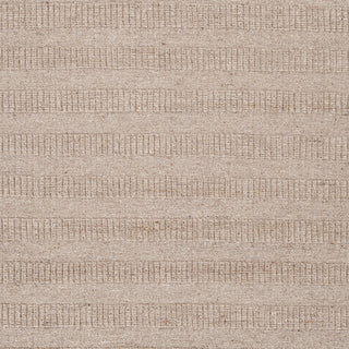 Surya Bahama BAH-4103 Beige Hand Loomed Area Rug Sample Swatch