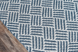 Momeni Baileys Beach BAI-2 Navy Area Rug by MADCAP Close up