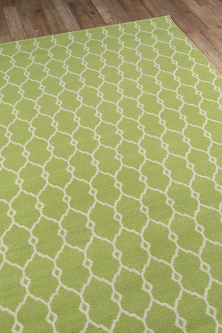 Momeni Baja BAJ-2 Green Area Rug Corner Shot Feature