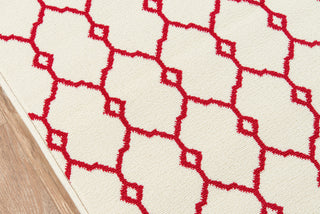 Momeni Baja BAJ-2 Ivory Area Rug Closeup