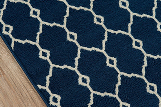 Momeni Baja BAJ-2 Navy Area Rug Closeup