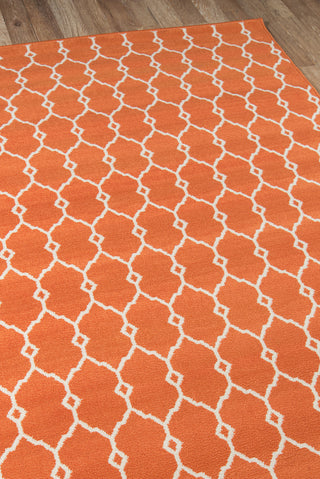 Momeni Baja BAJ-2 Orange Area Rug Corner Shot Feature