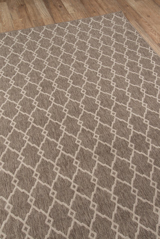 Momeni Baja BAJ-2 Taupe Area Rug Corner Shot Feature