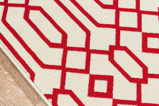 Momeni Baja BAJ-3 Ivory Area Rug Closeup