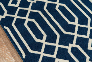 Momeni Baja BAJ-3 Navy Area Rug Closeup