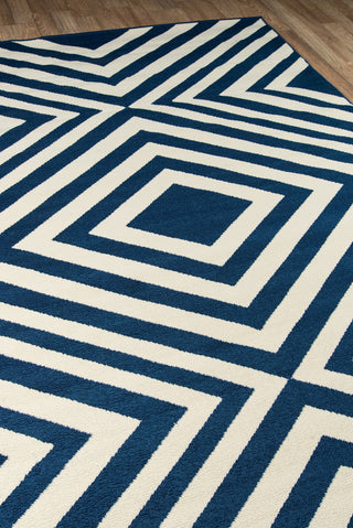 Momeni Baja BAJ-8 Navy Area Rug Corner Shot Feature