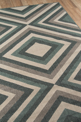 Momeni Baja BAJ-8 Sage Area Rug Corner Shot Feature