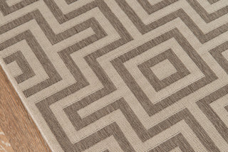 Momeni Baja BAJ10 Taupe Area Rug Close Up