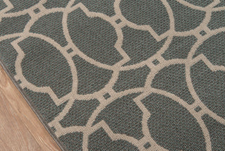 Momeni Baja BAJ11 Grey Area Rug Close Up