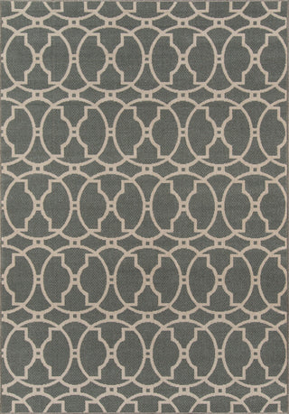 Momeni Baja BAJ11 Grey Area Rug Main