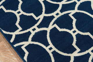 Momeni Baja BAJ11 Navy Area Rug Close Up