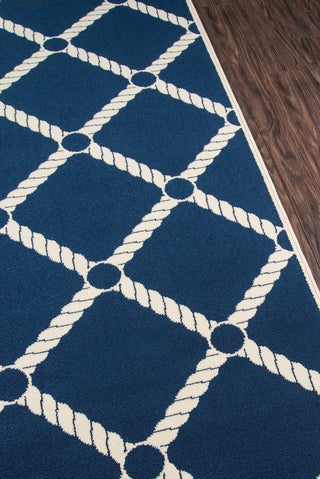 Momeni Baja BAJ15 Navy Area Rug Close Up