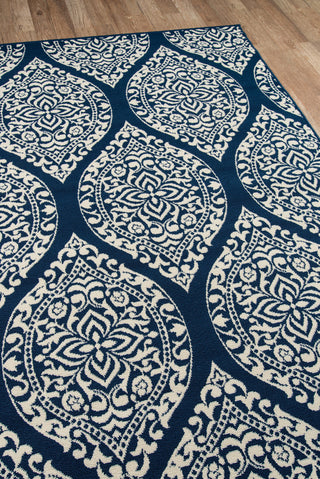 Momeni Baja BAJ17 Navy Area Rug Corner Shot Feature