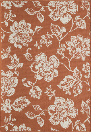 Momeni Baja BAJ18 Orange Area Rug