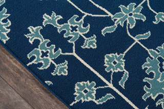 Momeni Baja BAJ23 Blue Area Rug Close up