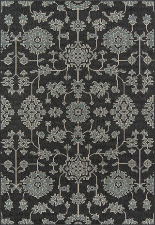 Momeni Baja BAJ23 Charcoal Area Rug main image