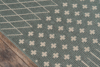 Momeni Baja BAJ32 Sage Area Rug Close up