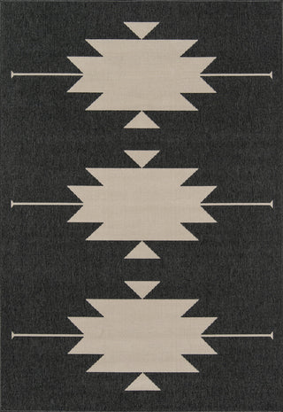 Momeni Baja BAJ34 Charcoal Area Rug main image