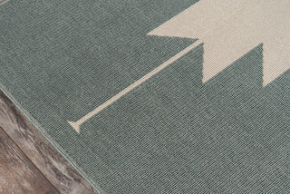 Momeni Baja BAJ34 Sage Area Rug Close up