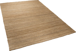 Rizzy Baja BA853A Natural Area Rug Style Image