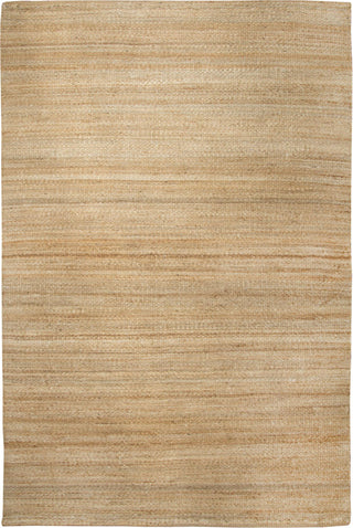 Rizzy Baja BA853A Natural Area Rug Main Image