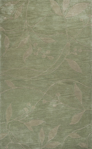 KAS Bali 2819 Celadon Visions Hand Tufted Area Rug