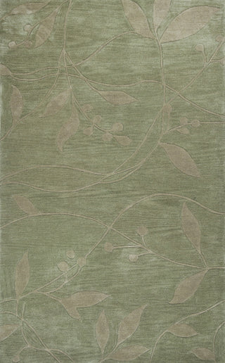 KAS Bali 2819 Celadon Visions Area Rug main image