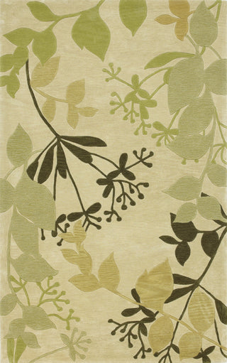 KAS Bali 2821 Ivory Rainforest Area Rug main image