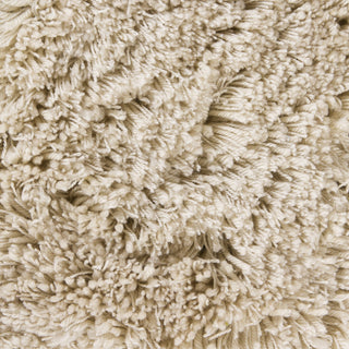 Chandra Bancroft BAN-7400 Cream Area Rug Close Up