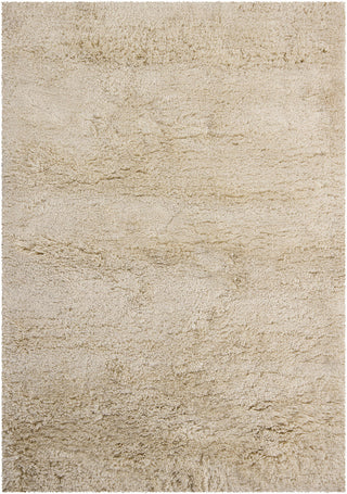 Chandra Bancroft BAN-7400 Cream Area Rug main image