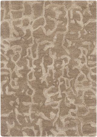 Surya Banshee BAN-3305 Taupe Area Rug 2' x 3'