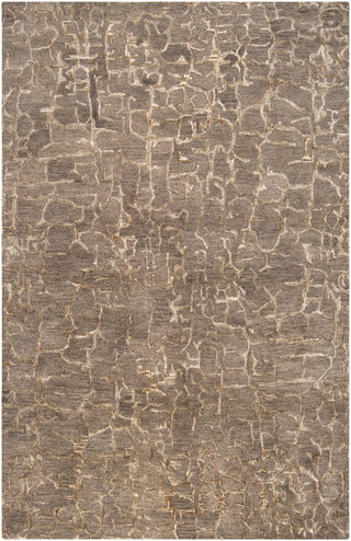 Surya Banshee BAN-3305 Taupe Area Rug 5' x 8'