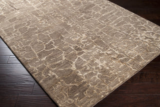 Surya Banshee BAN-3305 Area Rug 5x8 Corner Feature