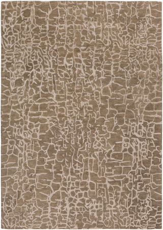 Surya Banshee BAN-3305 Taupe Hand Tufted Area Rug 8' X 11'